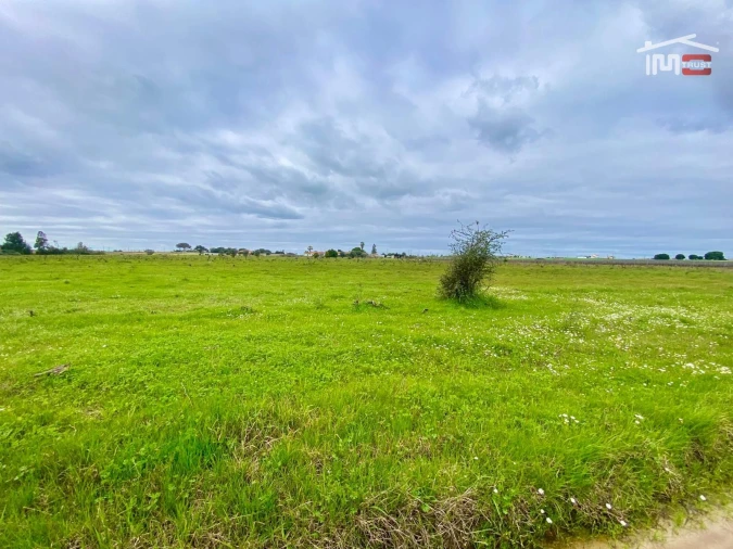 Terreno Agricola ou Rústico para Venda em Poceirão e Marateca Foto 24