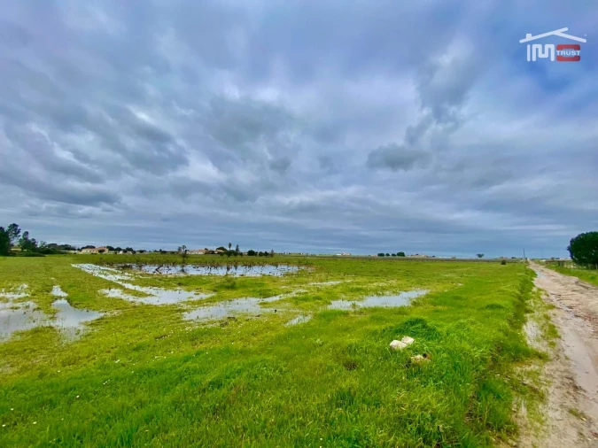 Terreno Agricola ou Rústico para Venda em Poceirão e Marateca Foto 30