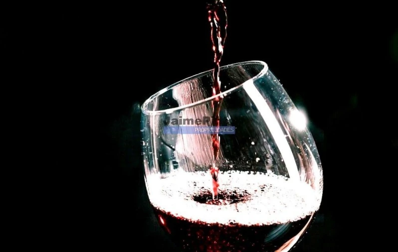 Negócio para Venda em Sé, Santa Maria e Meixedo Foto 4