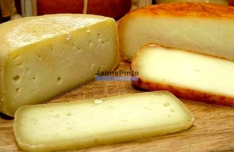 Negócio para Venda em Sé, Santa Maria e Meixedo Foto 6