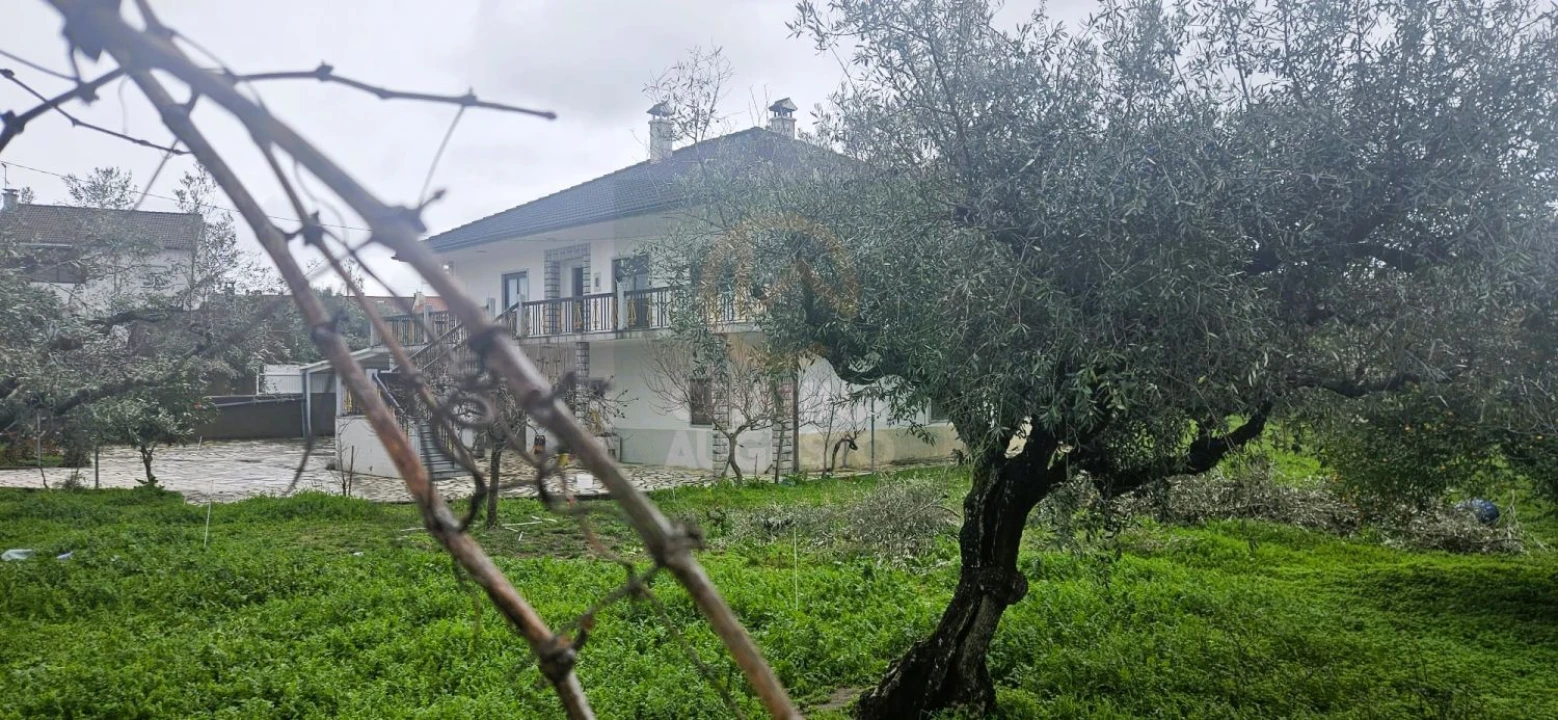 Moradia T5 para Venda em Castelo Branco Foto 5