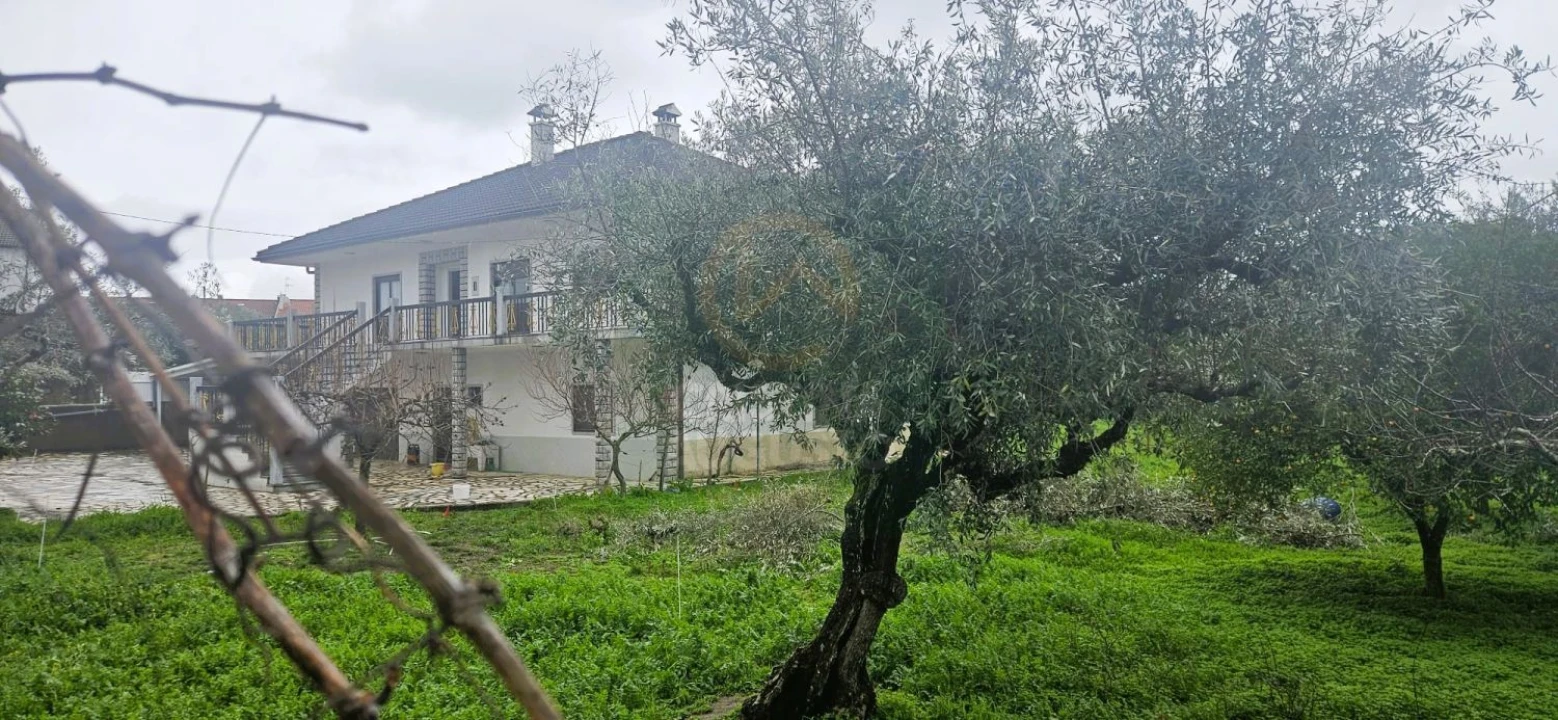 Moradia T5 para Venda em Castelo Branco Foto 16