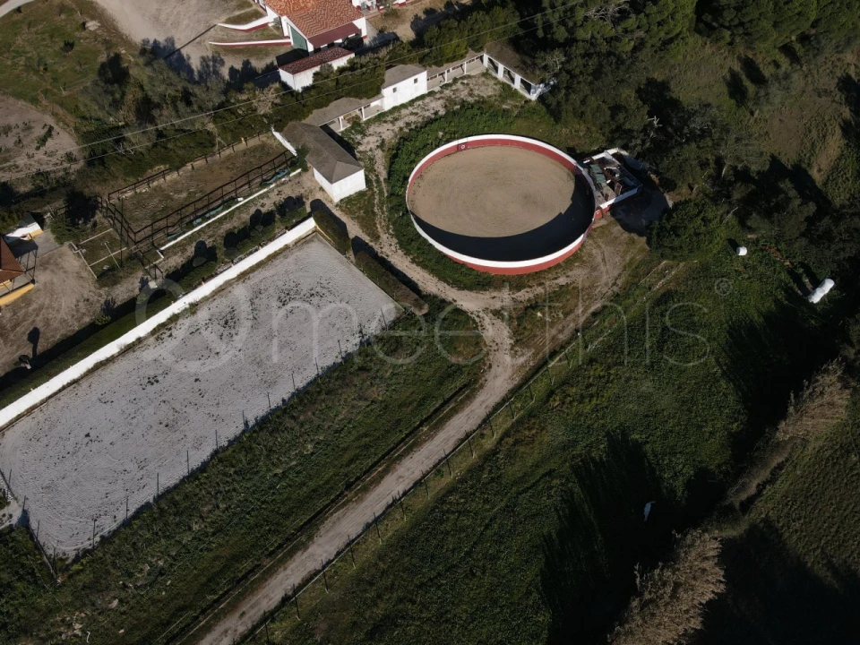 Quinta T2 para Venda em Santo Estêvão Foto 9