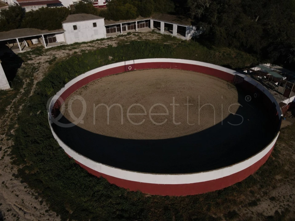 Quinta T2 para Venda em Santo Estêvão Foto 14