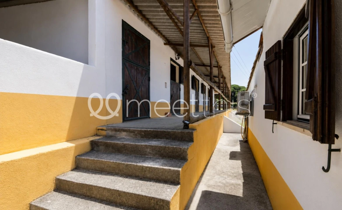 Quinta T2 para Venda em Santo Estêvão Foto 28