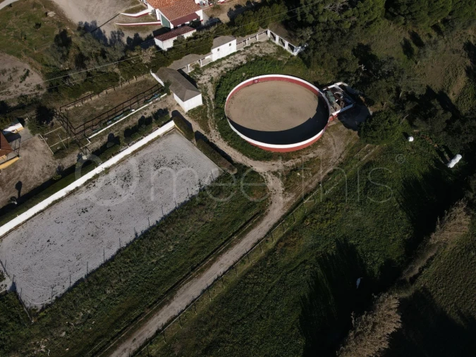 Quinta T2 para Venda em Santo Estêvão Foto 9