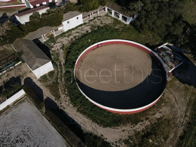 Quinta T2 para Venda em Santo Estêvão Foto 10