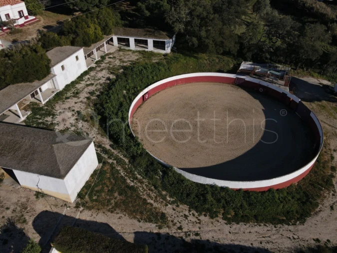 Quinta T2 para Venda em Santo Estêvão Foto 15