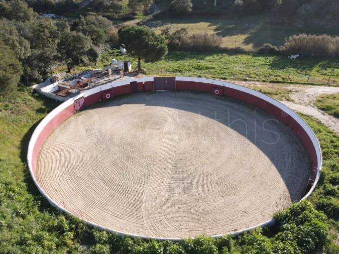 Quinta T2 para Venda em Santo Estêvão Foto 16