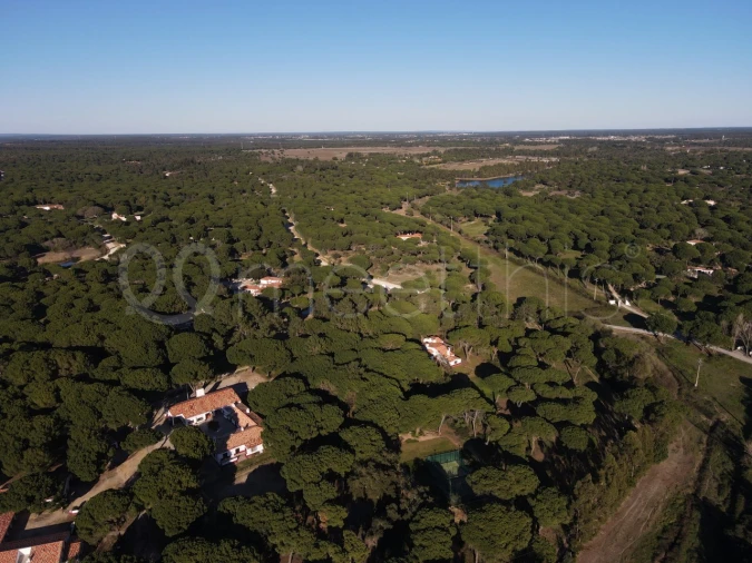 Quinta T2 para Venda em Santo Estêvão Foto 22