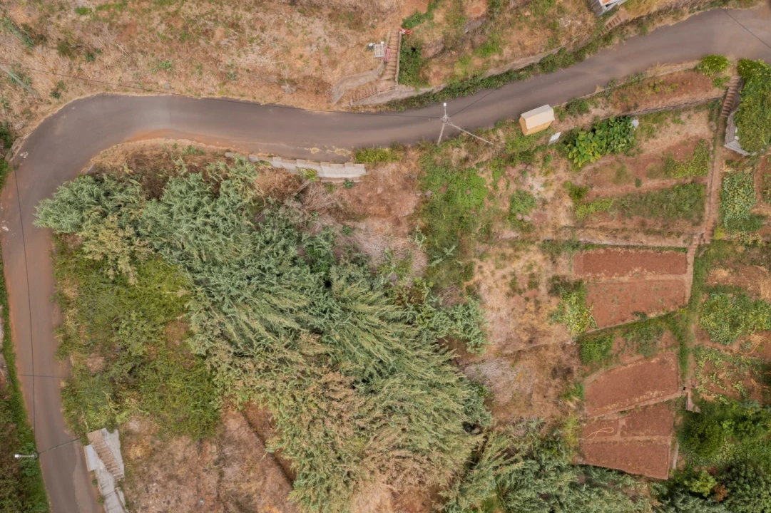 Terreno para Venda em Caniço Foto 2