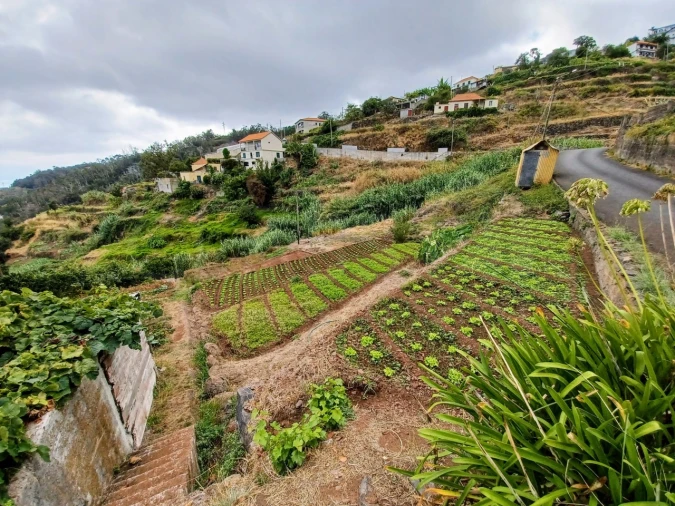 Terreno para Venda em Caniço Foto 11