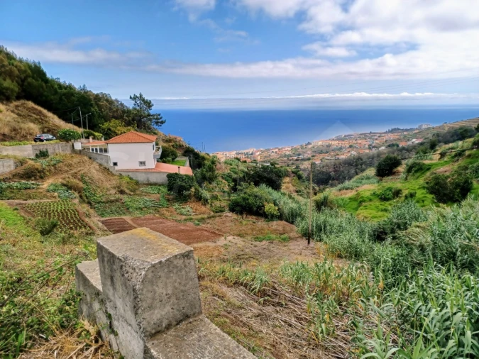 Terreno para Venda em Caniço Foto 13