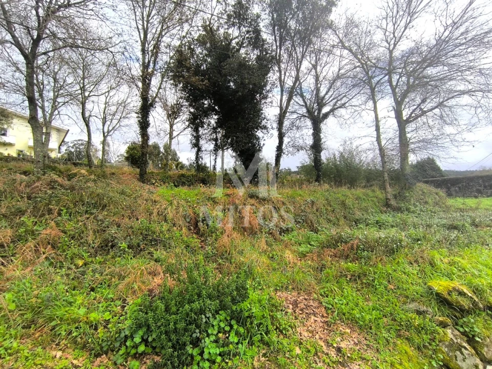 Terreno para Venda em Durrães e Tregosa Foto 2