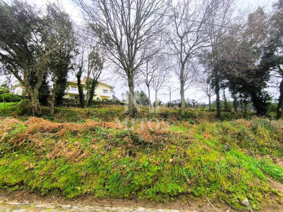 Terreno para Venda em Durrães e Tregosa Foto 3