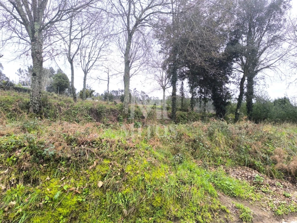 Terreno para Venda em Durrães e Tregosa Foto 5
