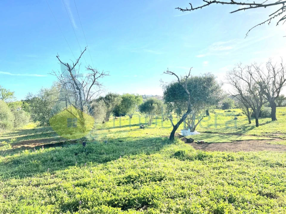 Terreno Agricola ou Rústico para Venda em Alcantarilha e Pêra Foto 1