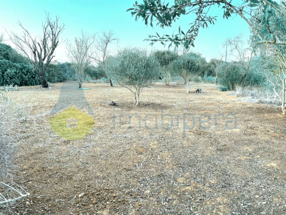 Terreno Agricola ou Rústico para Venda em Alcantarilha e Pêra Foto 5