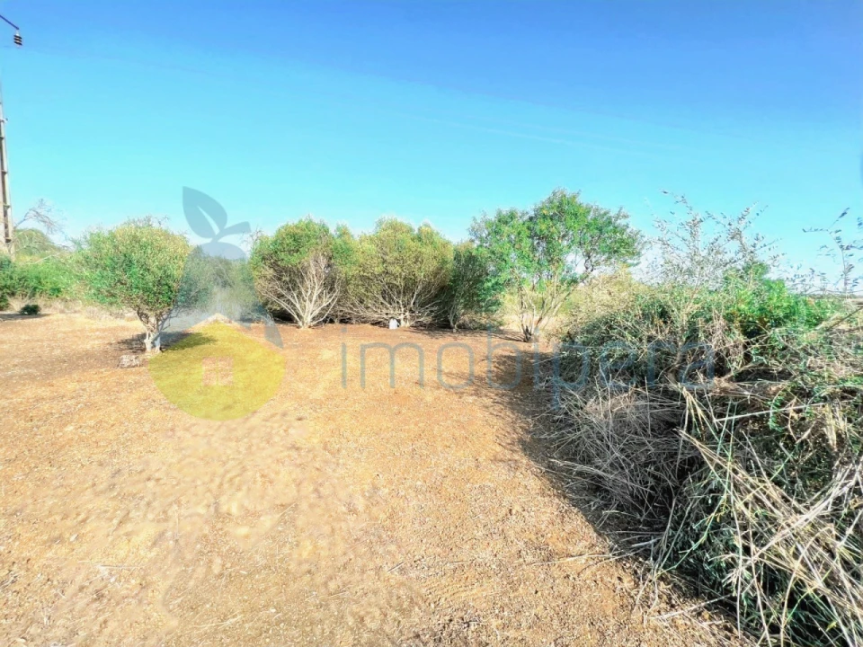 Terreno Agricola ou Rústico para Venda em Alcantarilha e Pêra Foto 7
