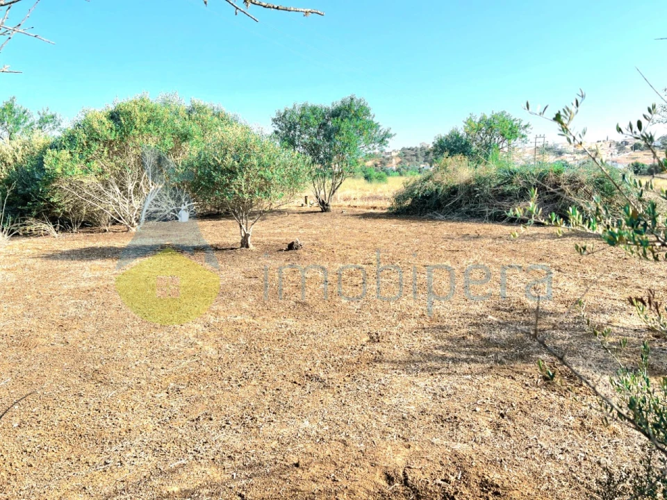 Terreno Agricola ou Rústico para Venda em Alcantarilha e Pêra Foto 8