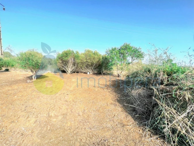 Terreno Agricola ou Rústico para Venda em Alcantarilha e Pêra Foto 7