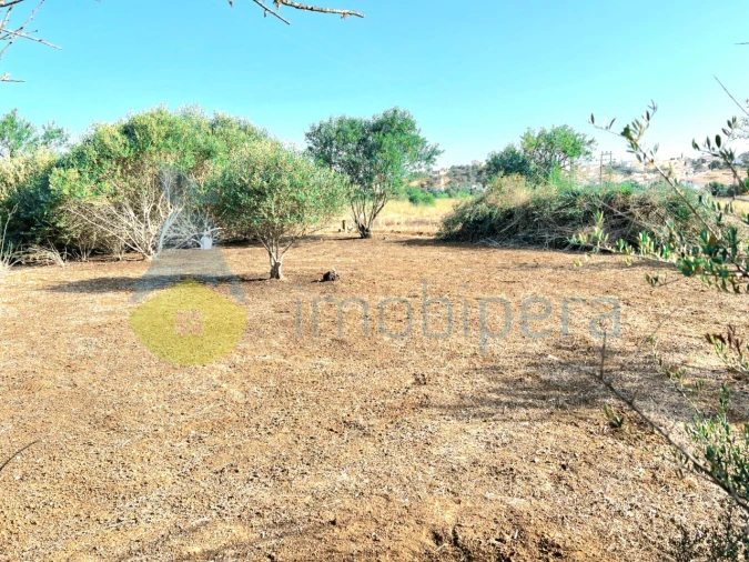 Terreno Agricola ou Rústico para Venda em Alcantarilha e Pêra Foto 8