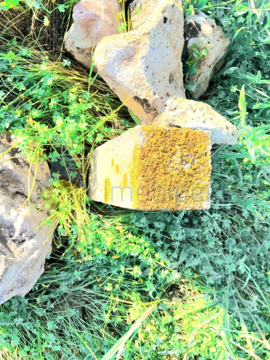 Terreno Agricola ou Rústico para Venda em Alcantarilha e Pêra Foto 10