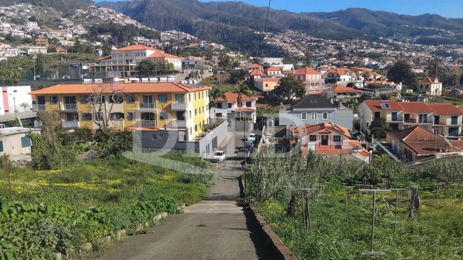 Terreno para Venda em Santo Antonio Foto 5