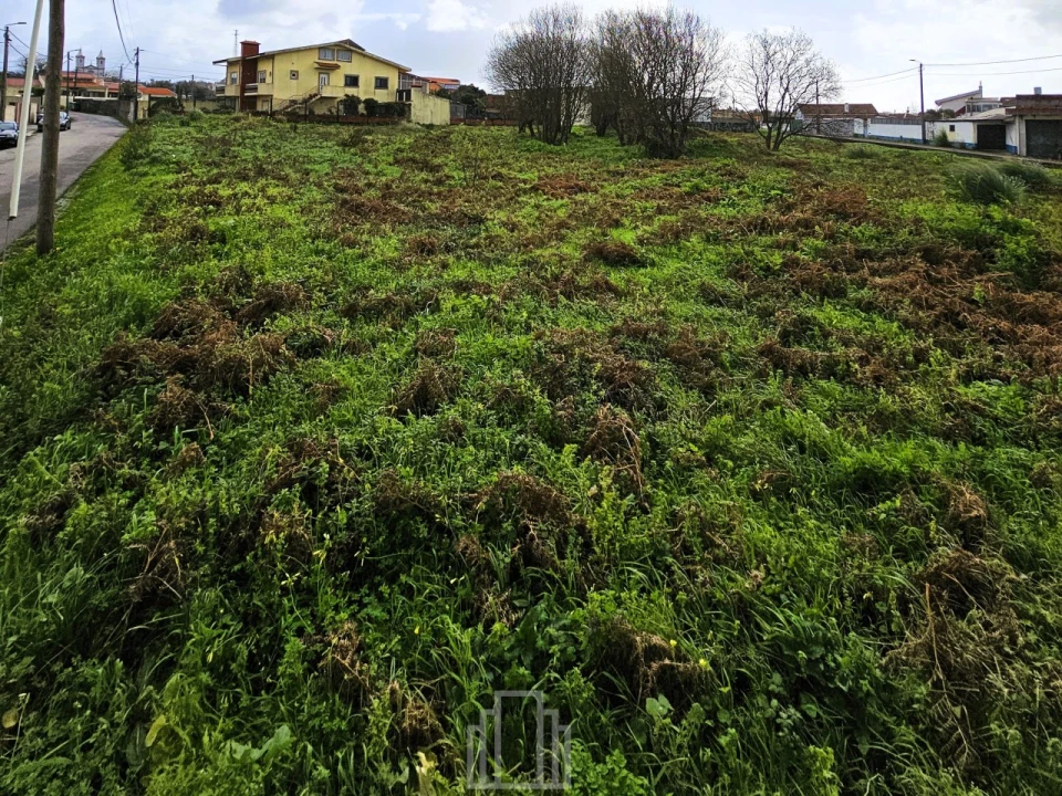 Terreno Agricola ou Rústico para Venda em Silvalde Foto 7
