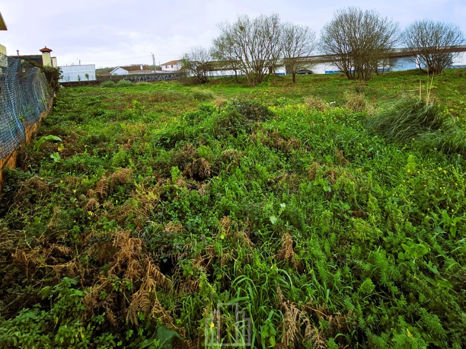 Terreno Agricola ou Rústico para Venda em Silvalde Foto 8