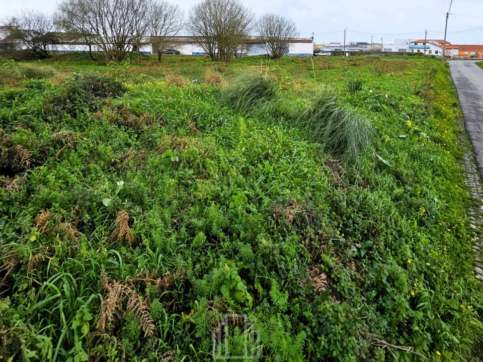 Terreno Agricola ou Rústico para Venda em Silvalde Foto 9