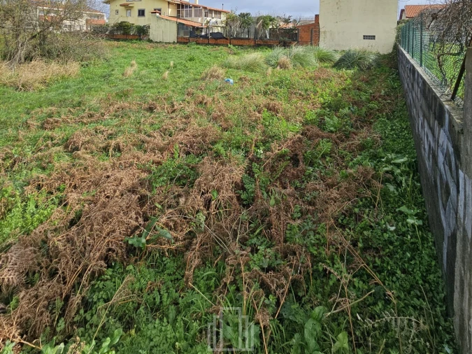 Terreno Agricola ou Rústico para Venda em Silvalde Foto 2