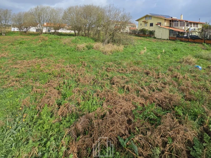 Terreno Agricola ou Rústico para Venda em Silvalde Foto 3