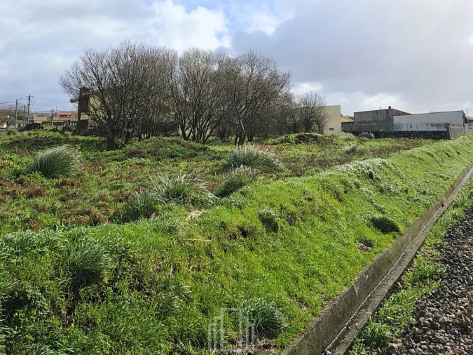 Terreno Agricola ou Rústico para Venda em Silvalde Foto 5