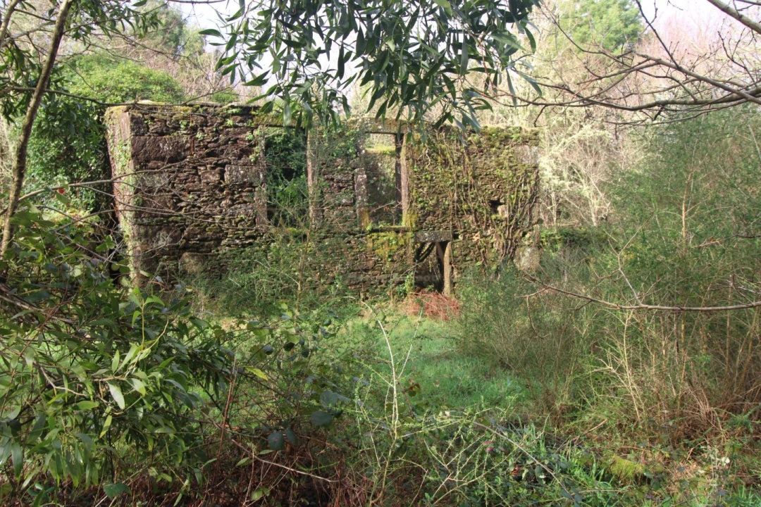 Moradia T1 para Venda em Covas Foto 2