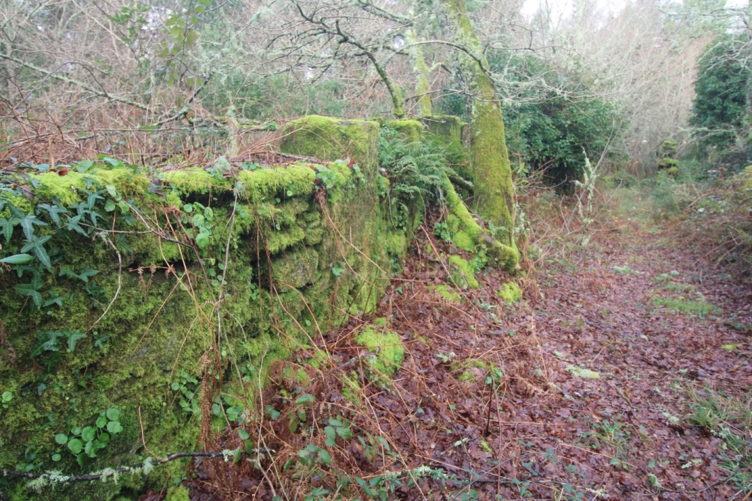 Moradia T1 para Venda em Covas Foto 5