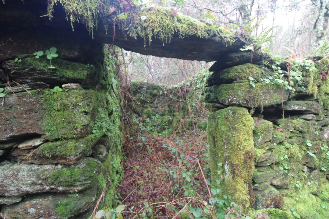 Moradia T1 para Venda em Covas Foto 6