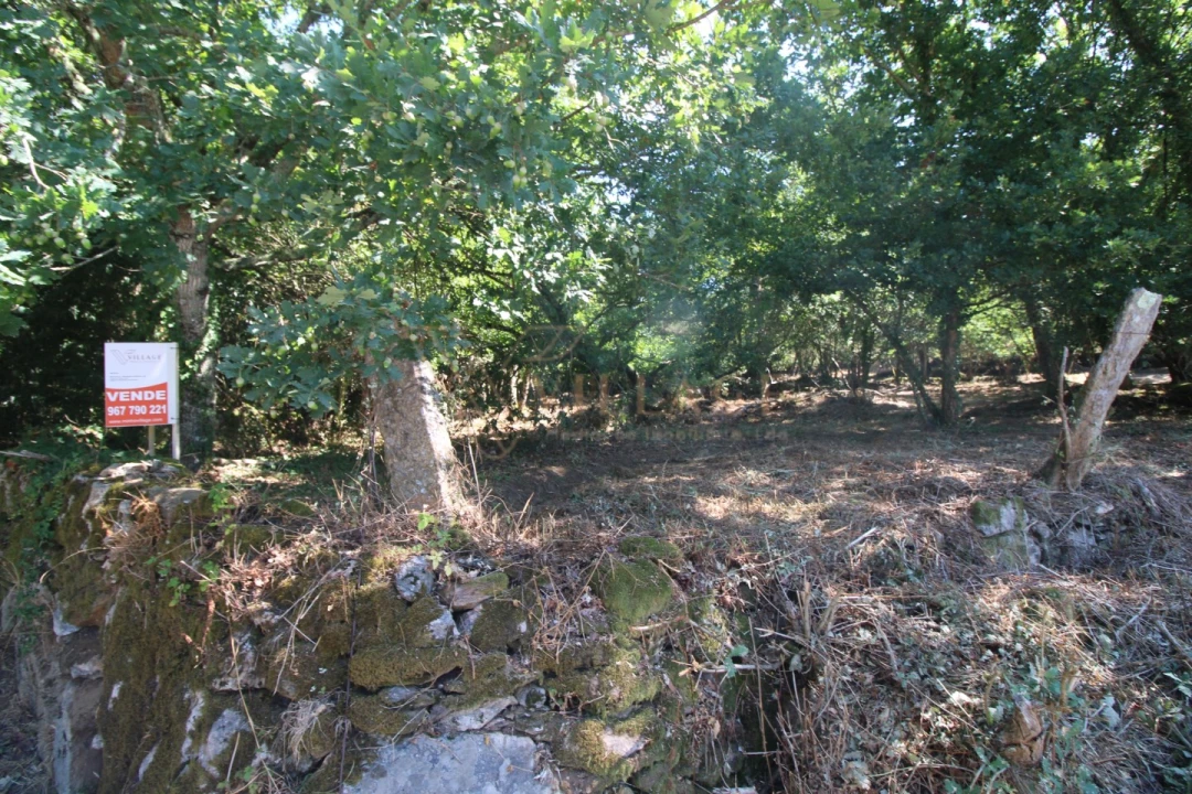 Moradia T3 para Venda em Covas Foto 4