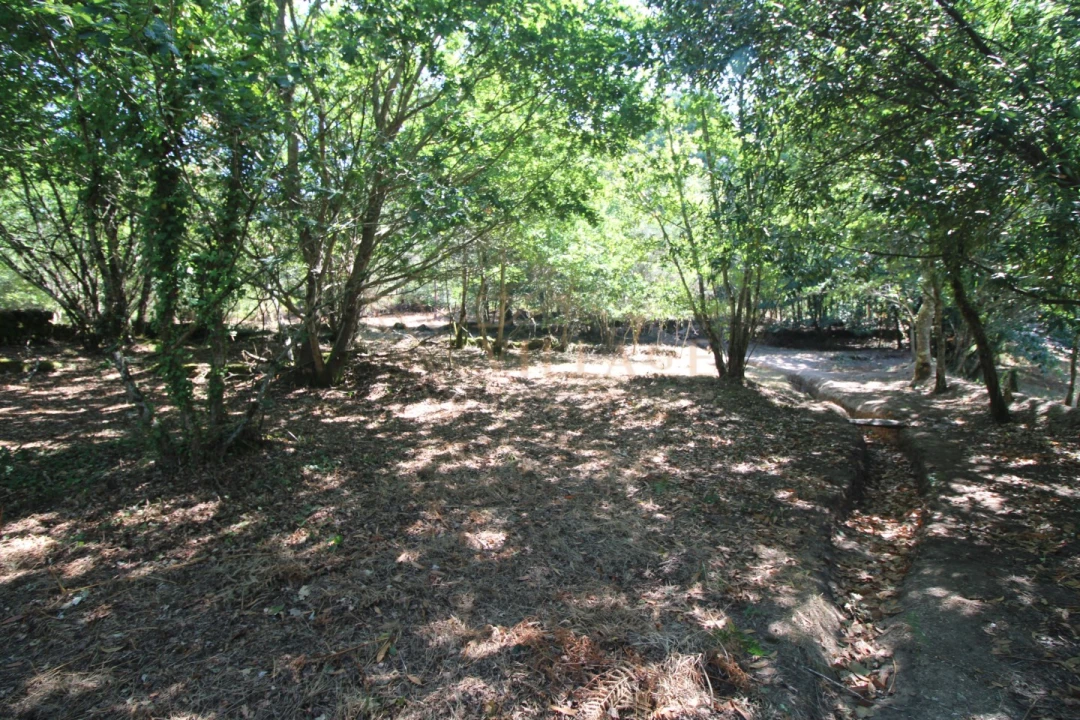 Moradia T3 para Venda em Covas Foto 5