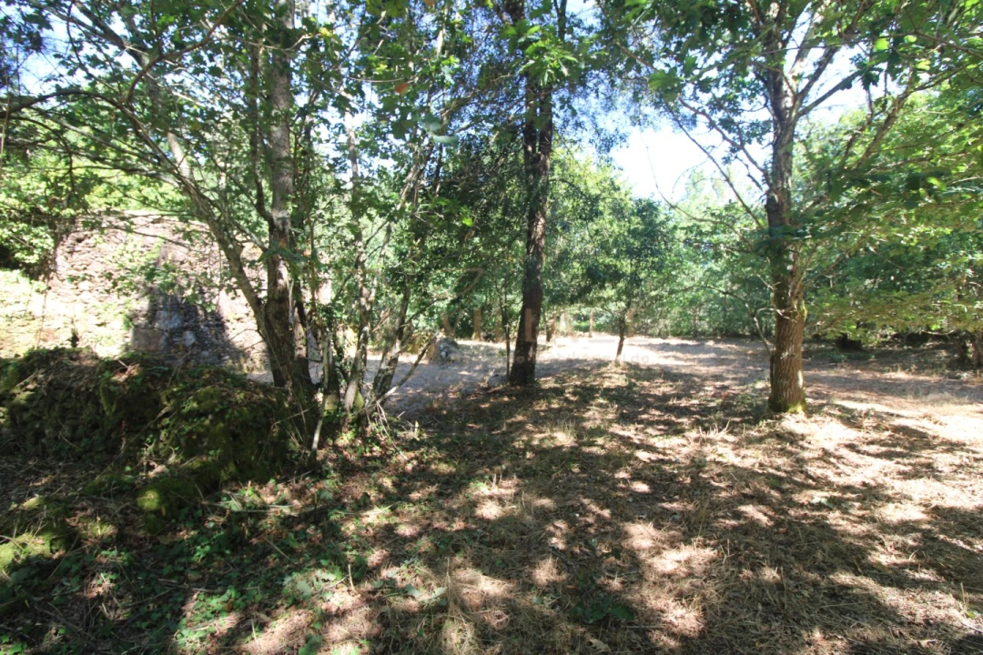 Moradia T3 para Venda em Covas Foto 12