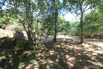 Moradia T3 para Venda em Covas