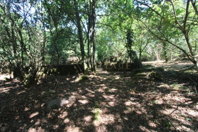 Moradia T3 para Venda em Covas