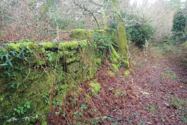 Moradia T1 para Venda em Covas Foto 5