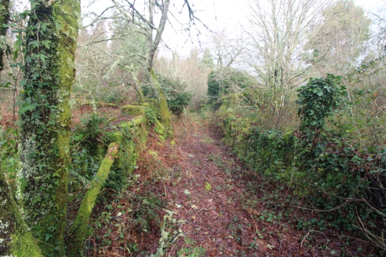 Moradia T1 para Venda em Covas Foto 12