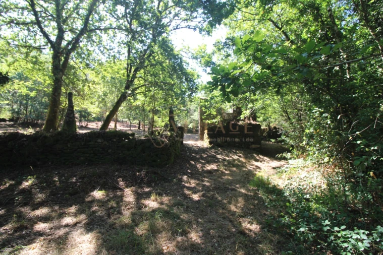 Moradia T3 para Venda em Covas Foto 3