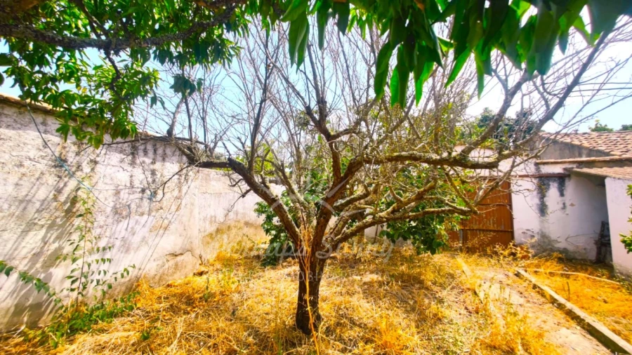 Moradia T2 para Venda em Grândola e Santa Margarida da Serra Foto 16
