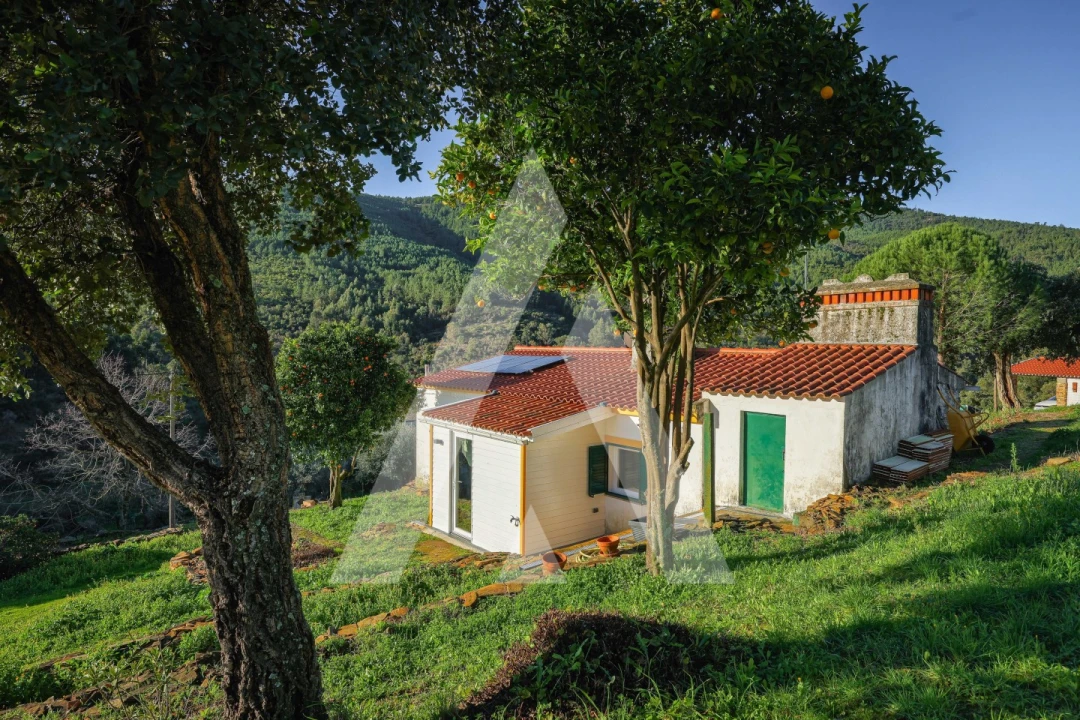 Quinta T2 para Venda em Reguengo e São Julião Foto 29