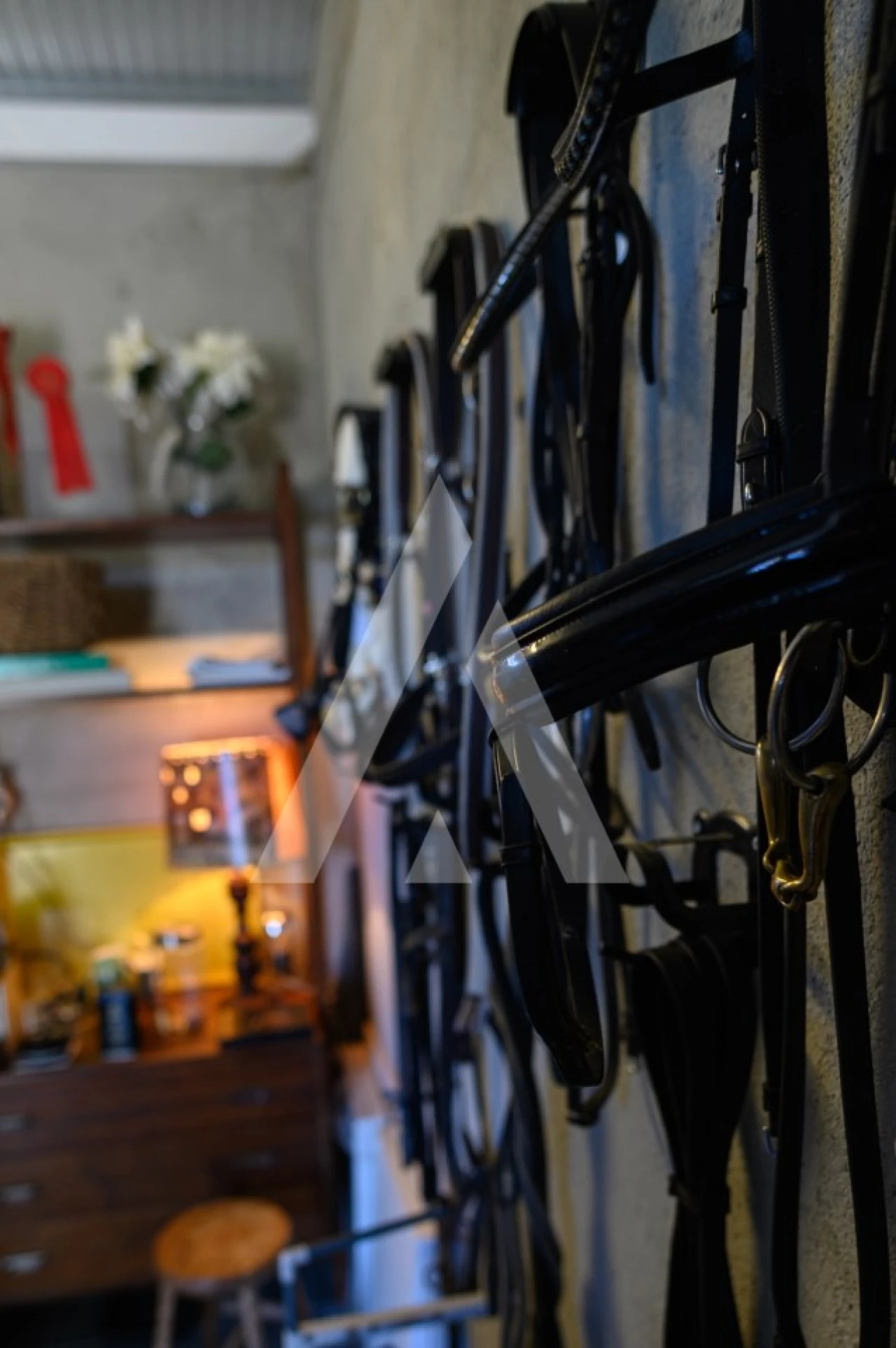 Quinta para Venda em Ferro Foto 4