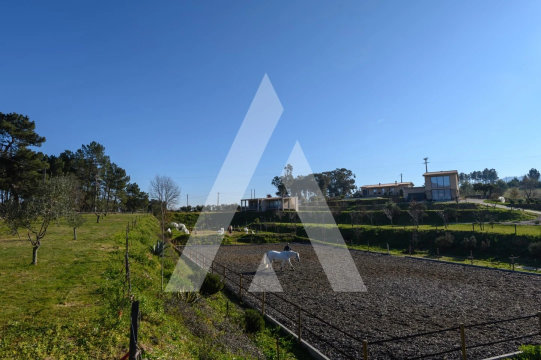 Quinta para Venda em Ferro Foto 8