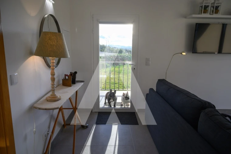 Quinta para Venda em Ferro Foto 20